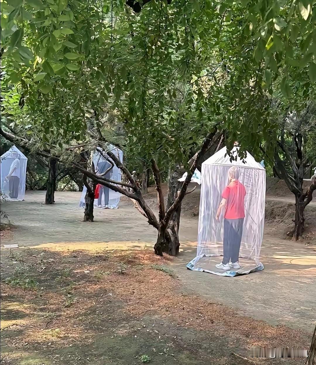 真想不通这些老年人
是闲的没事干了，早上锻炼
就锻炼呗！这整的是哪出
前两天刷到