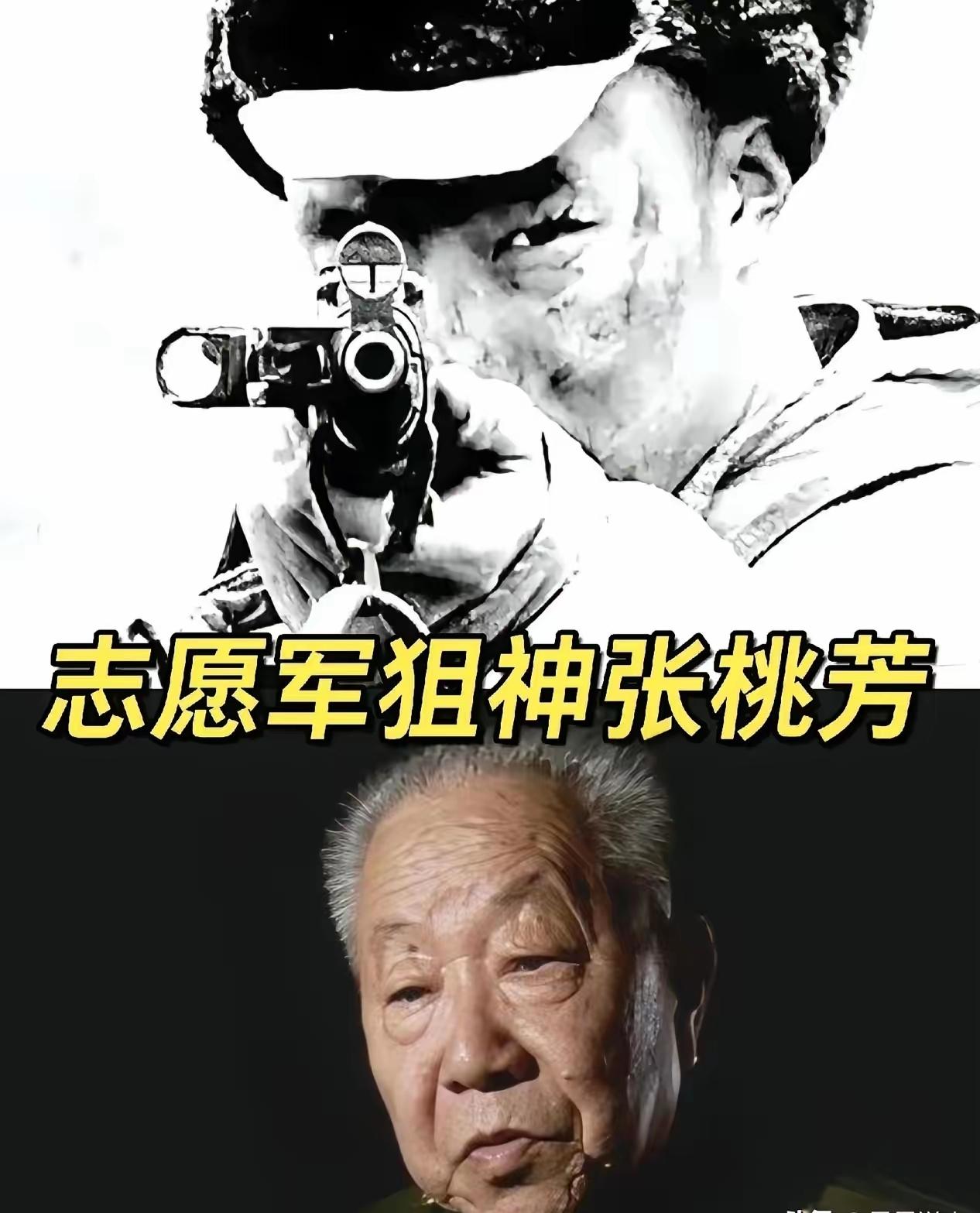 1953年，一位美国顶尖狙击手击中了一名志愿军战士，那人应声倒地，坠入战壕，然而