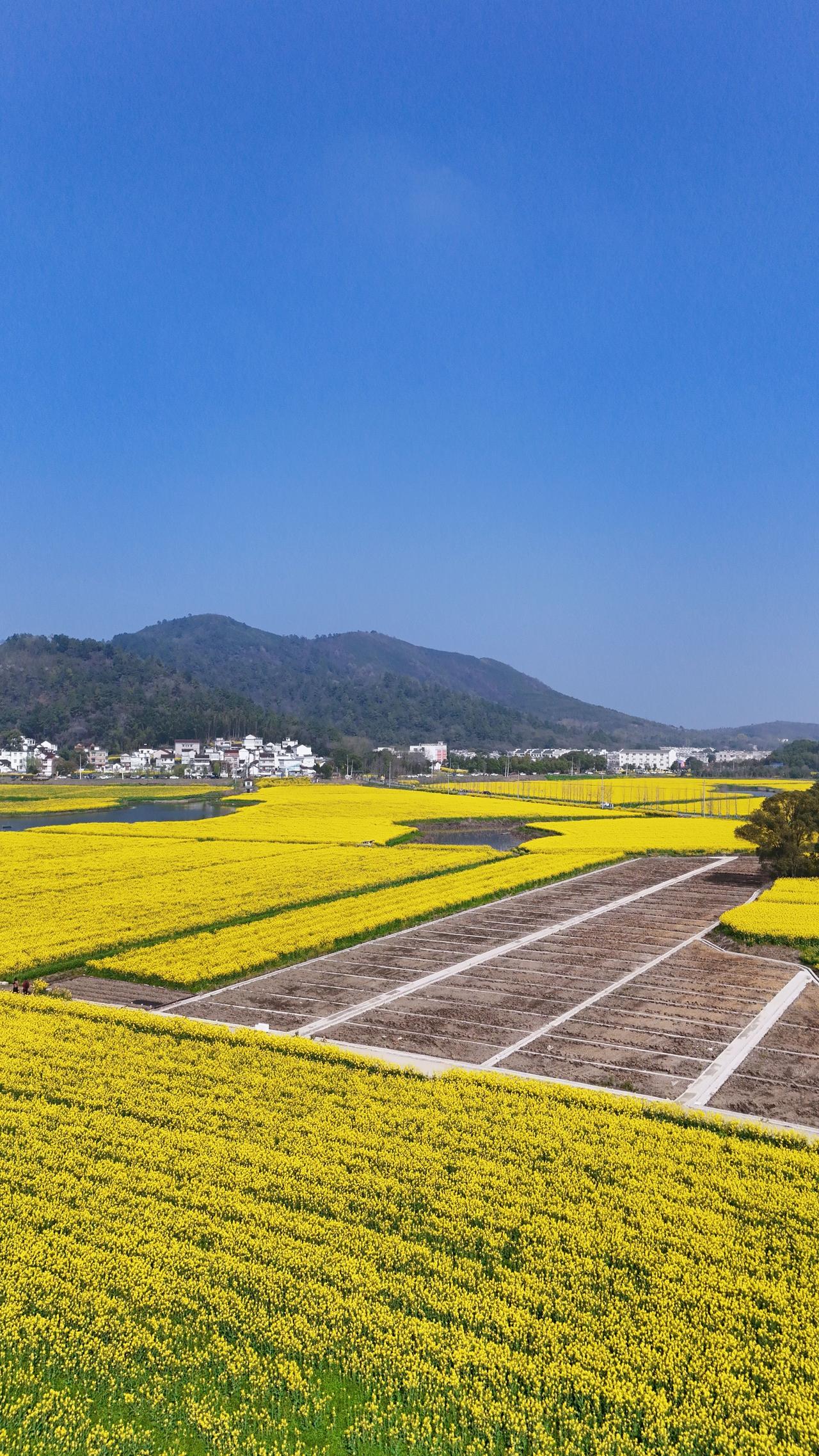 昨天碰到一位秦淮科技高中学生的家长，他再三强调希望我们老师能帮孩子解决问题。其实