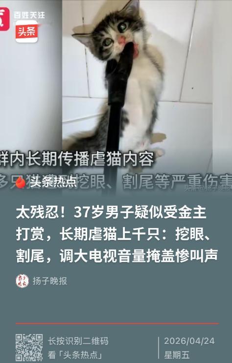 “太残忍了！”4月24日，河南平顶山，37岁男子疑似受金主打赏，4年间在家中，挖