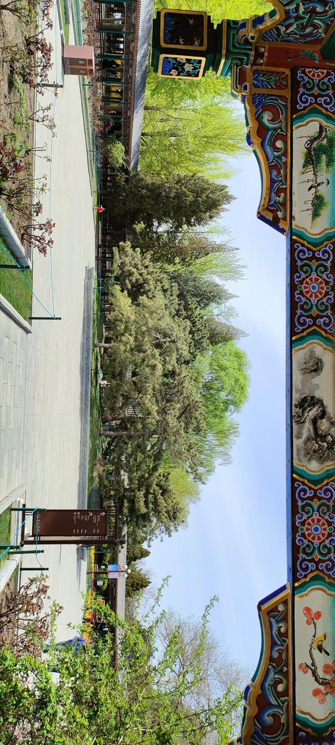 色彩斑斓的寺庙，绿树成荫的庭院，宁静祥和的氛围。