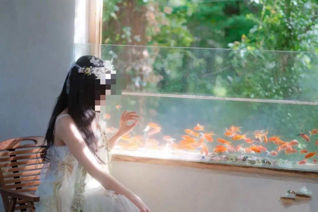红星新闻报道：百万粉丝网红“抱抱盲兔”确系盲人，曾为其拍写真的摄影师：望她吸取教