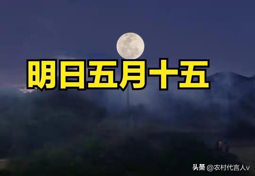 明日五月十五“望日”，记得：1要开、2不扫、3要蜷、4要吃，安稳度夏
 
农历五