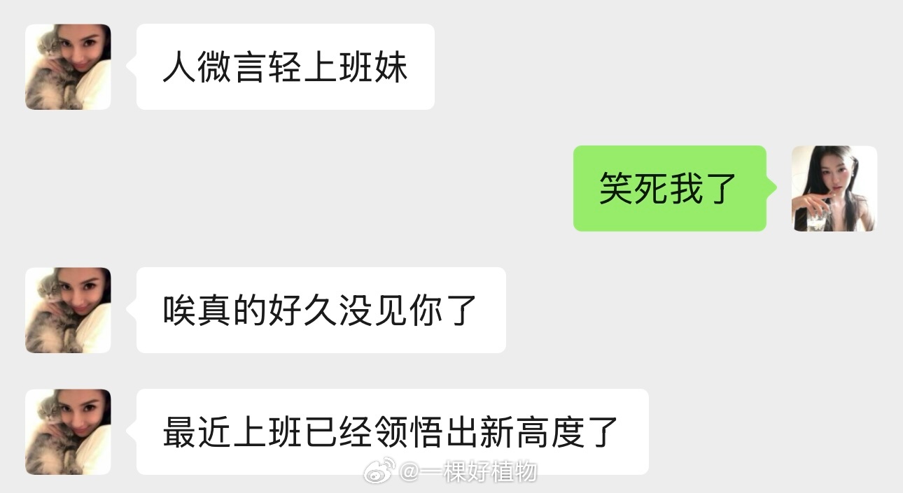这就是我呀，一个普普通通的上班妹。 ​​​