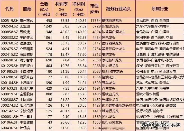 A股行业龙头全面盘点！（7页156家行业细分龙头）
（1）市值超千亿的行业龙头3