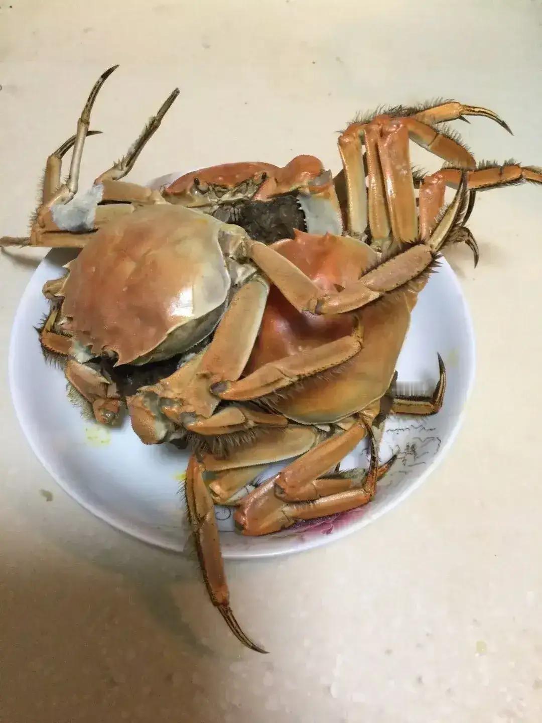 我不会笑话那些吃完饭打包的人
                  微头条
有些人