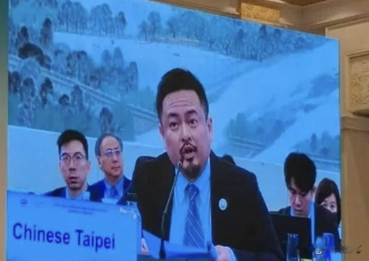 民进党政客洪申翰来大陆参加APEC，乖乖坐在标有Chinese Taipei的桌