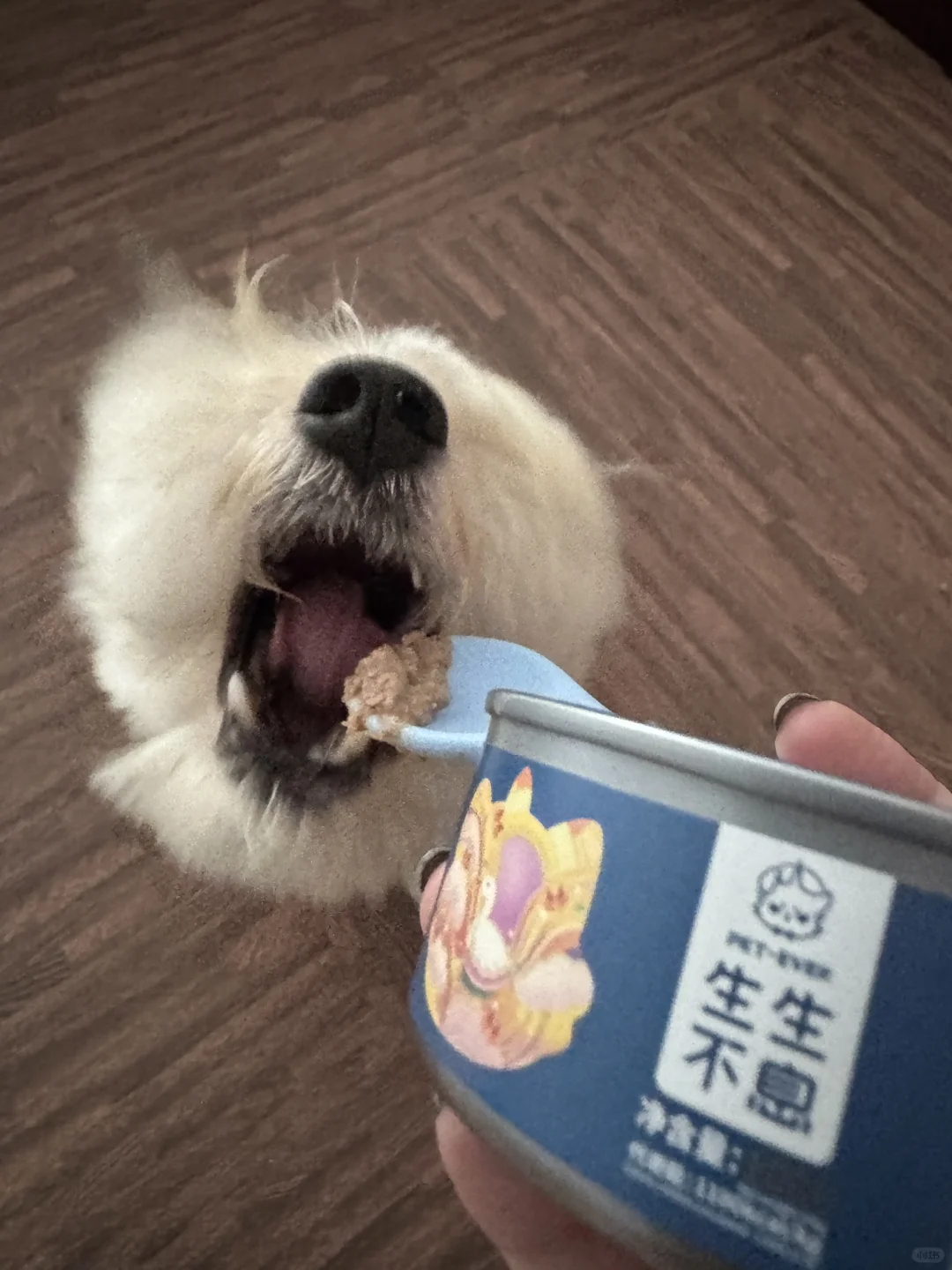 一些饿狗扑食的珍贵画面🫕