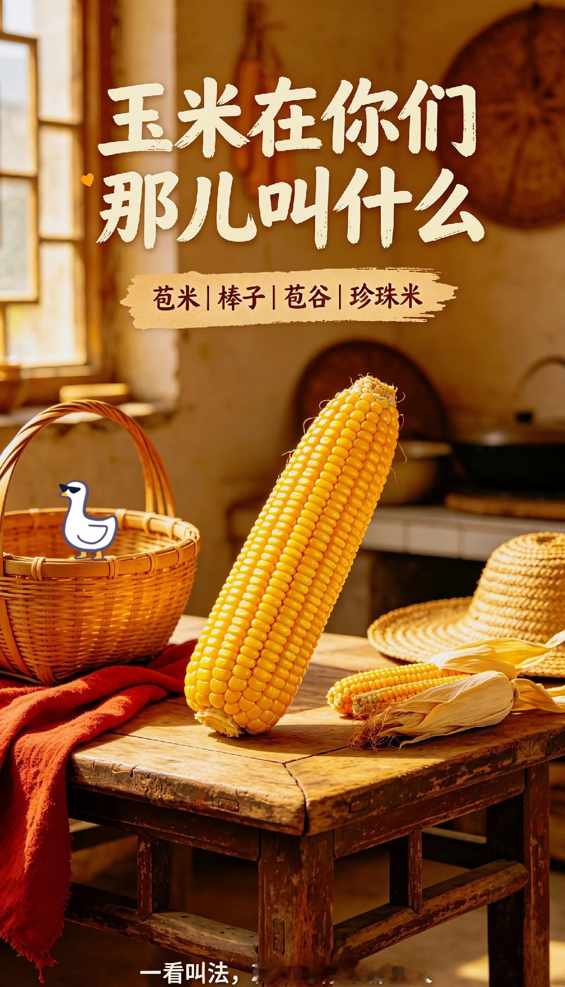 很多人从小到大只知道叫玉米，出门之后才发现，十里不同音，叫法五花八门！
北方不少
