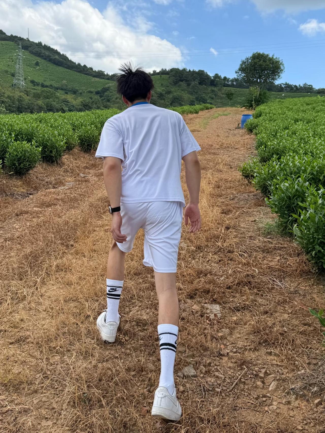 该上春山了吧，不是说出了十五就过完了年嘛，该干点正事了