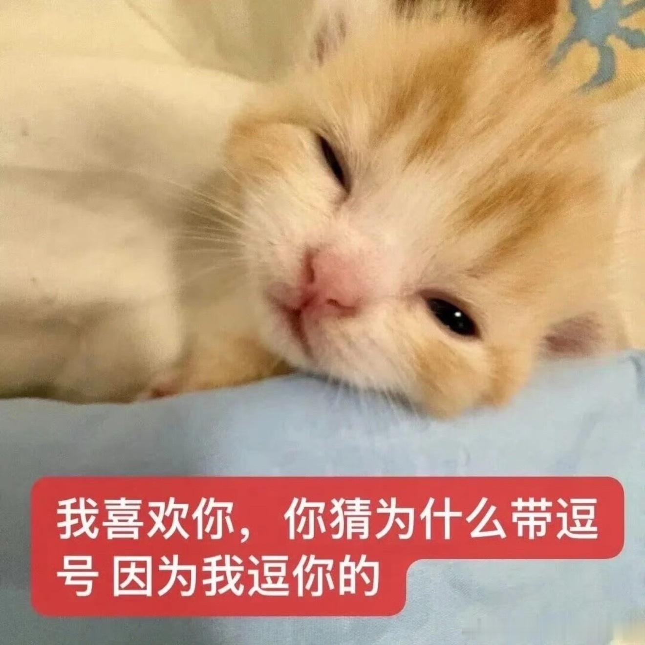 哥哥丽酱