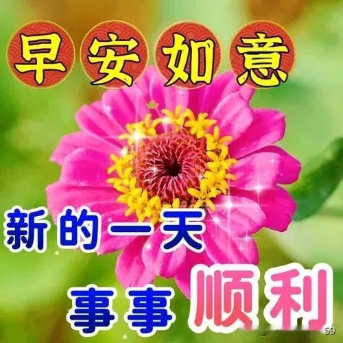 上午好友！周三快乐！
相互问候！温暖心房！
满满祝福！健康快乐！
幸福吉祥！事事