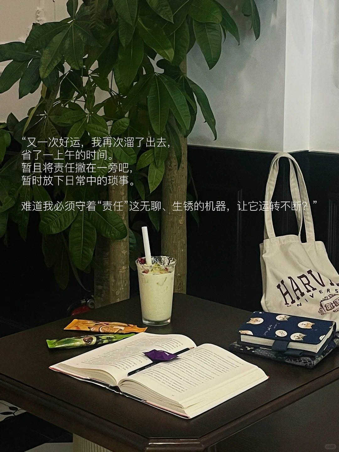 偶尔逃离日常也没有关系。