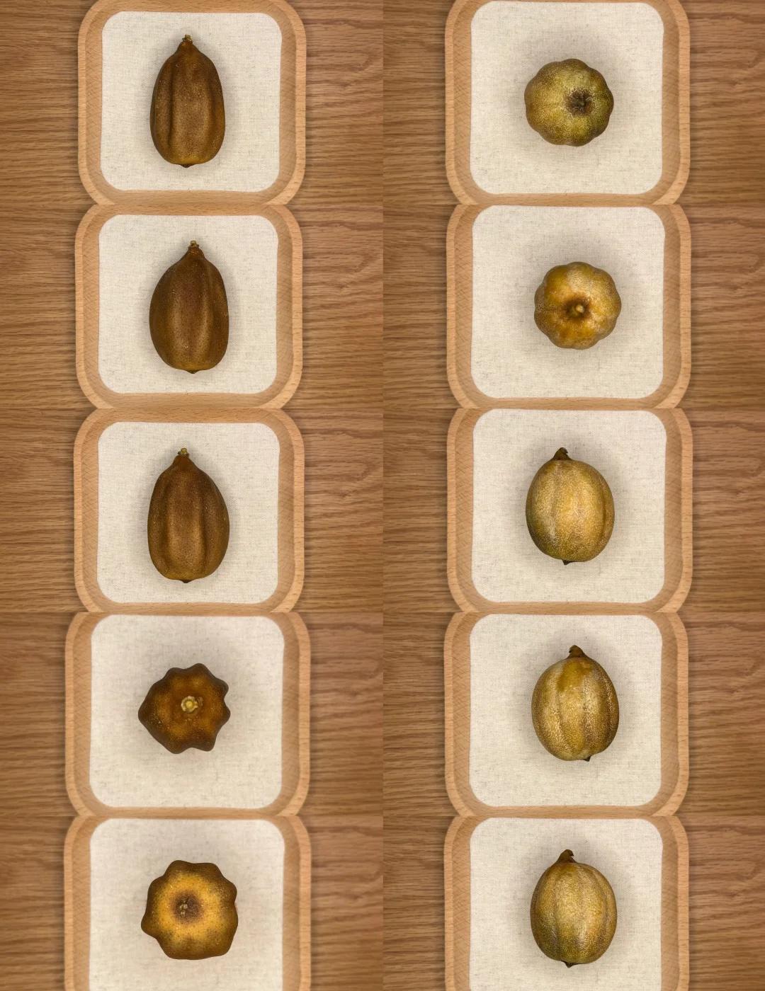 盘柠檬 D179
盘柠檬