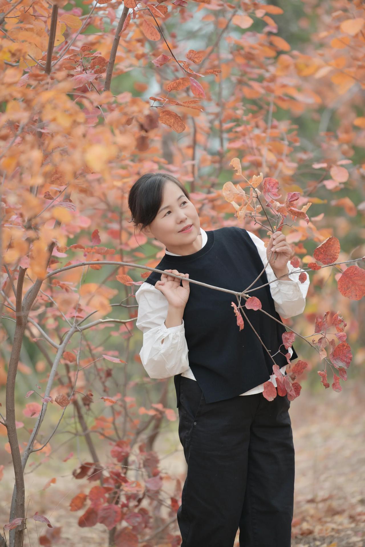 初冬时节，郊外公园的风景，开心快乐每一天！#公园里秋色# #西郊公园秋色# #藏