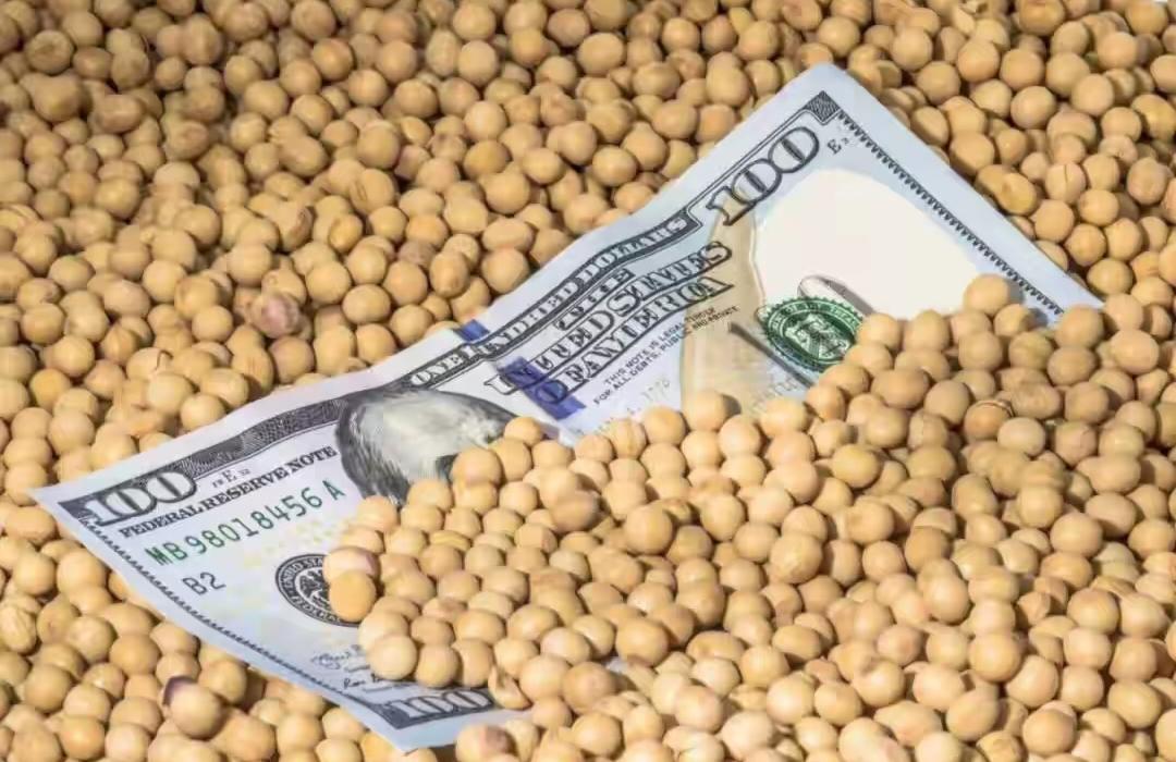 一夜之间，巴西后悔的沉默了
当巴西人民都沉浸在650美元/吨的一路飙升价格时，中