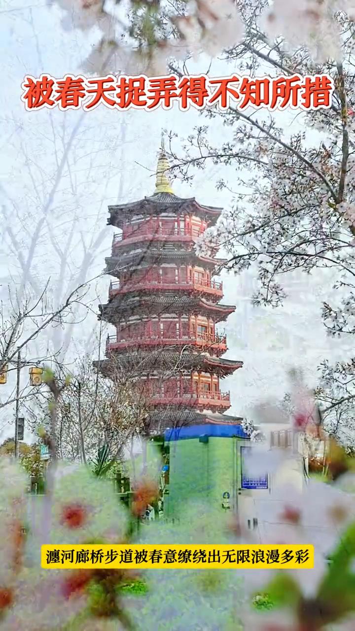 被春天提弄得不知所措，澳河廊桥步道被春意缭绕出无限浪漫多彩。