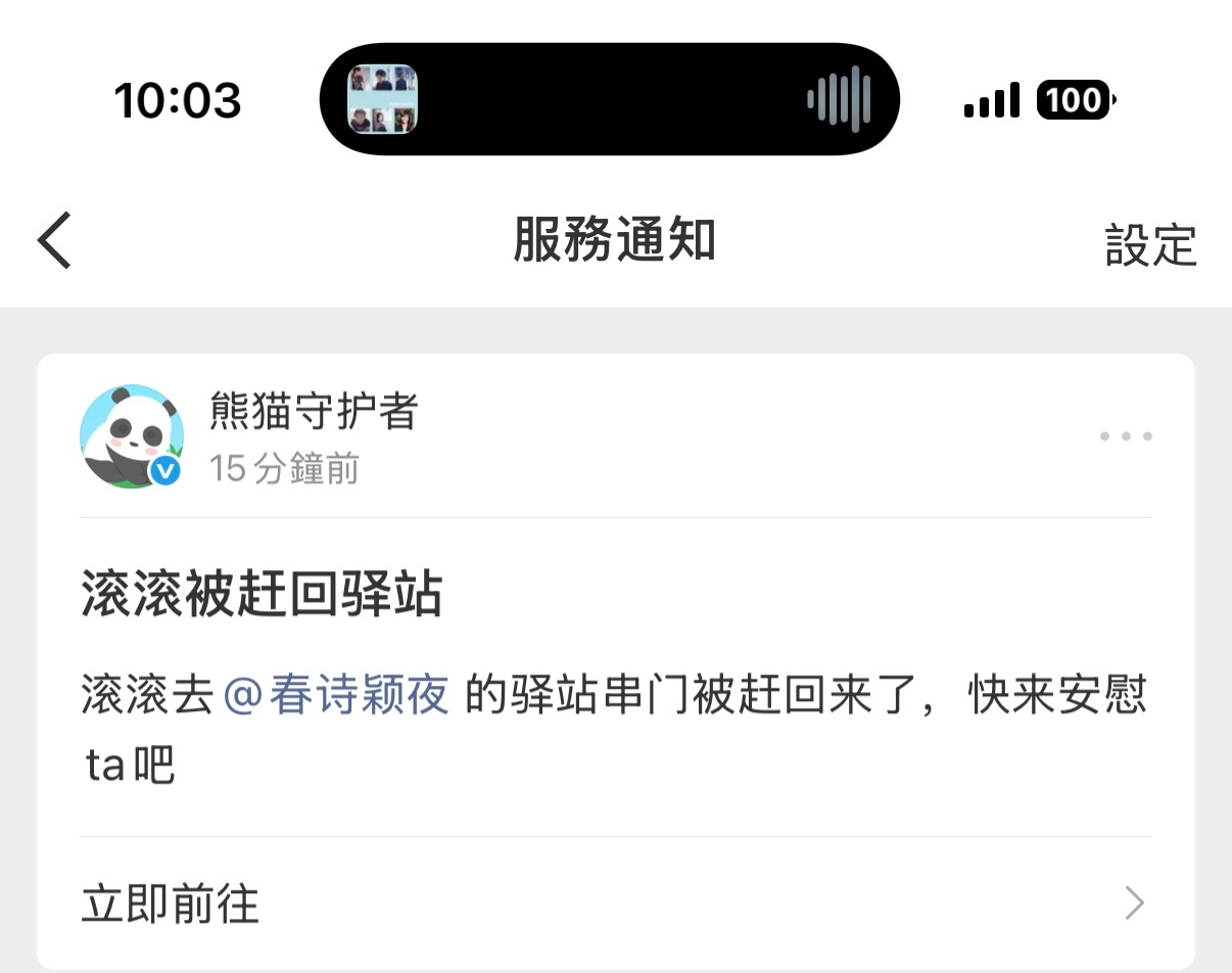 全世界都趁我不在欺负我的熊猫