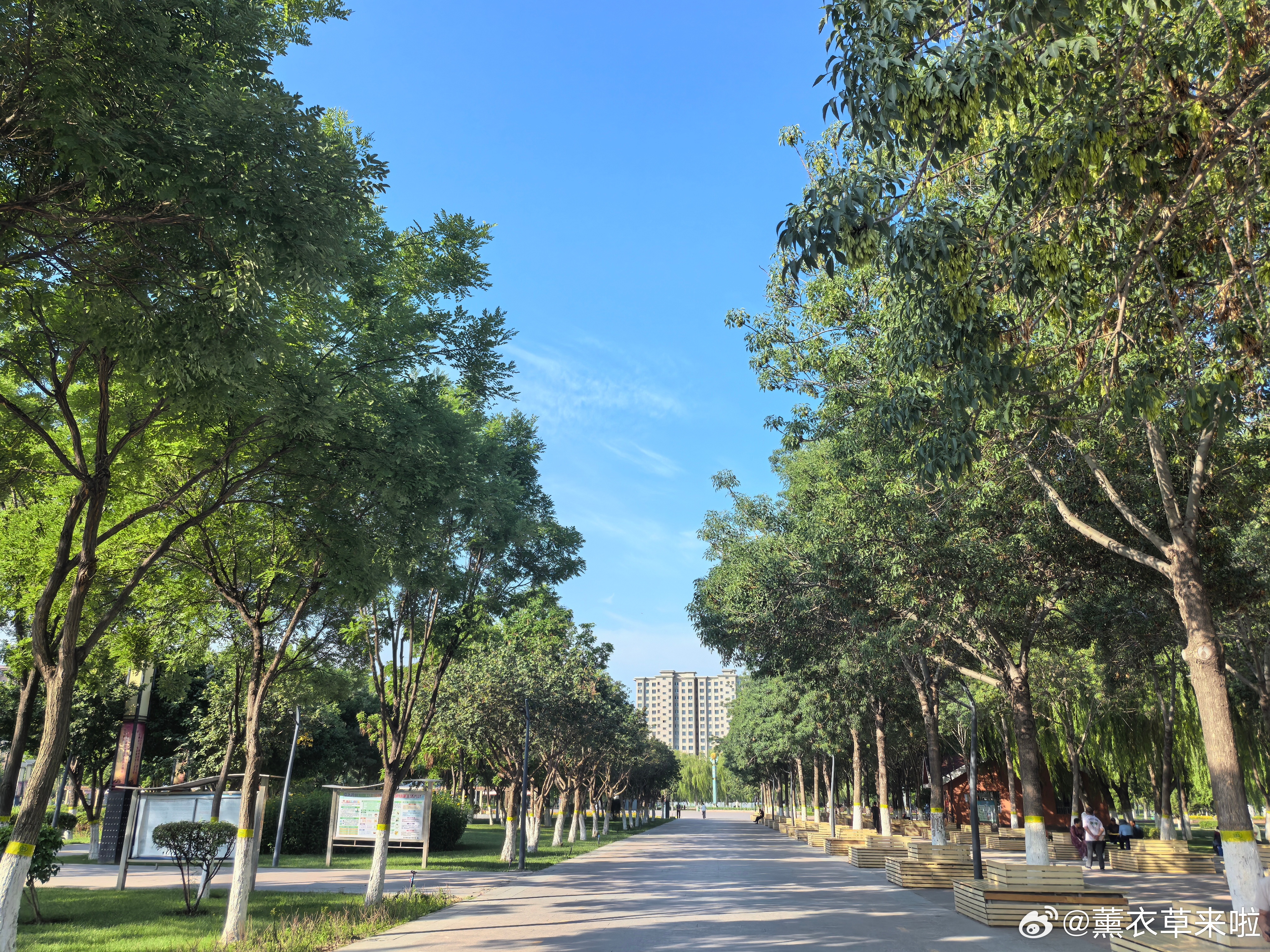 生活手记 早点才吃完，在公园来遛弯，说是午饭两点才开始。居然还需要适应一下时差。