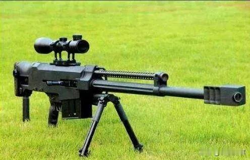 世界十大狙击枪：
 
美国CheyTac M-200：手动枪机狙击步枪，用于阻截