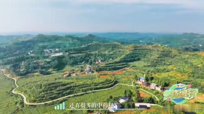 一路通行 田间地头藏着数字密码，养殖靠数据，卖货靠云端，一户一播模式点亮无数小微