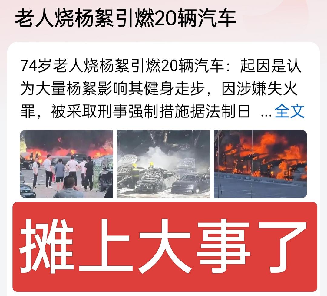 大爷摊上大事了，点燃影响他健身的杨絮引发大火，烧毁了20辆新能源汽车，都变成了骨