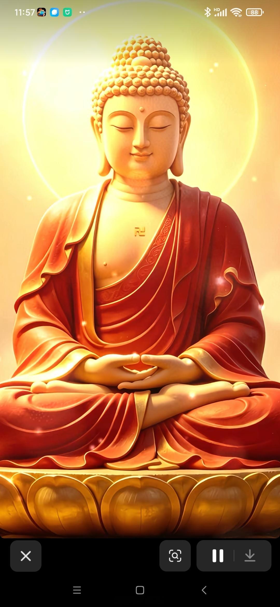  晨起礼佛焚香，愿佛光相伴各位善友前路坦途，平安喜乐！菩萨保佑我