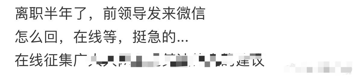 前领导给我发来信息怎么回复？[衰] ​​​