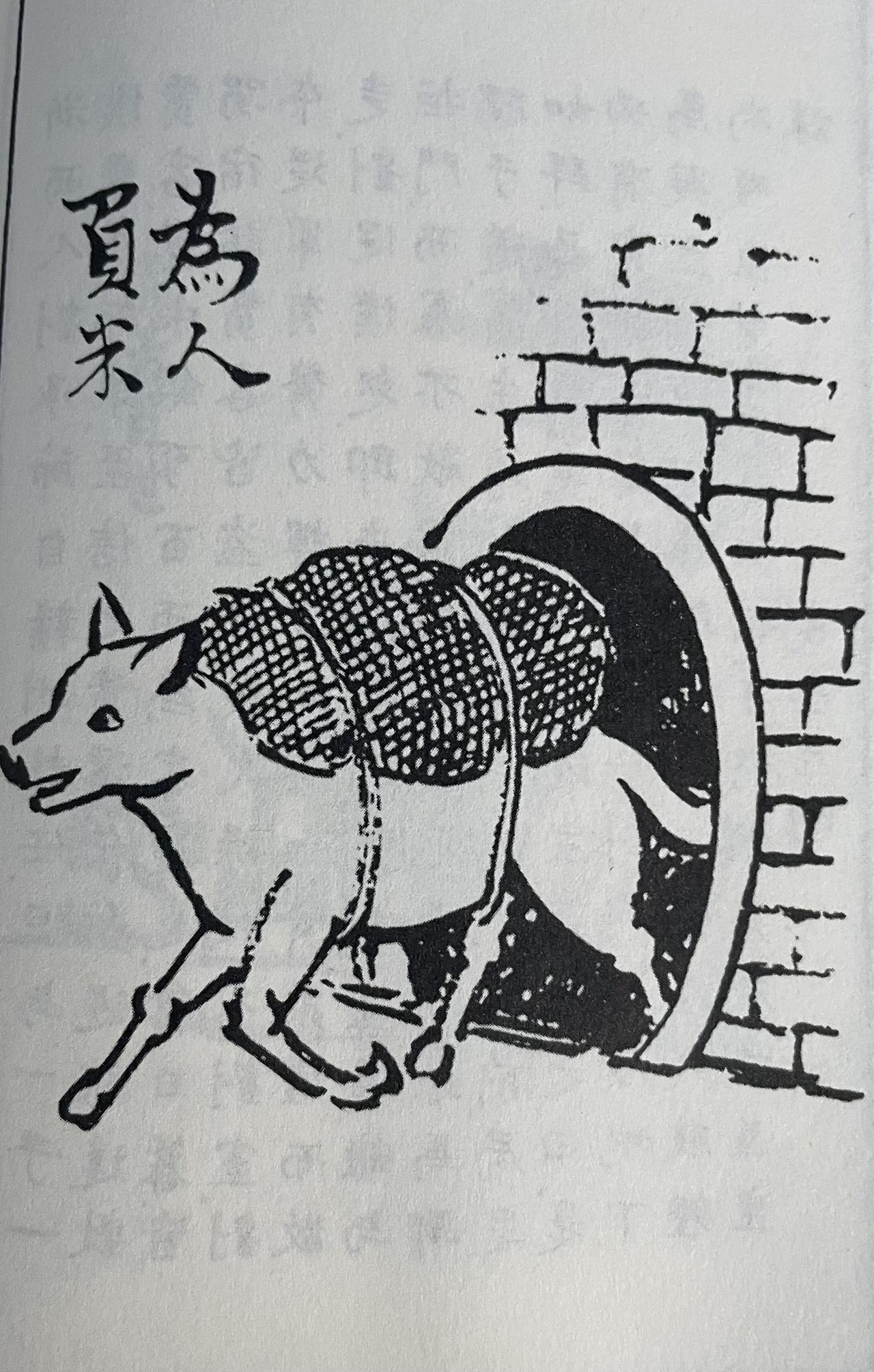 被困城中粮食断绝，这只狗竟成了全家的救命恩人

五代时期，杨光远在青州叛乱。孙中