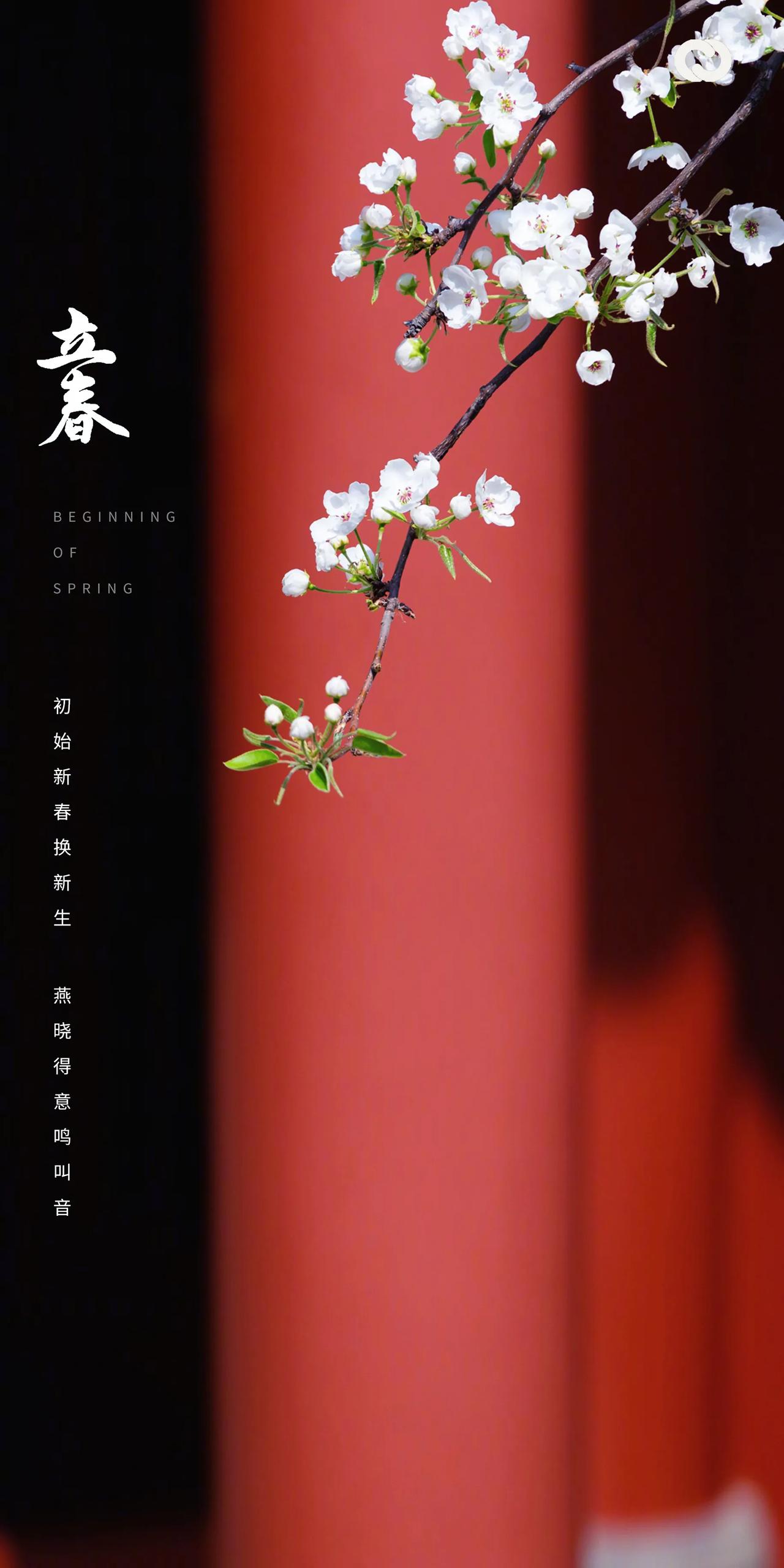 今日立春，冬将尽，春伊始！

古籍《月令七十二候集解》记载：“立，始建也。春气始