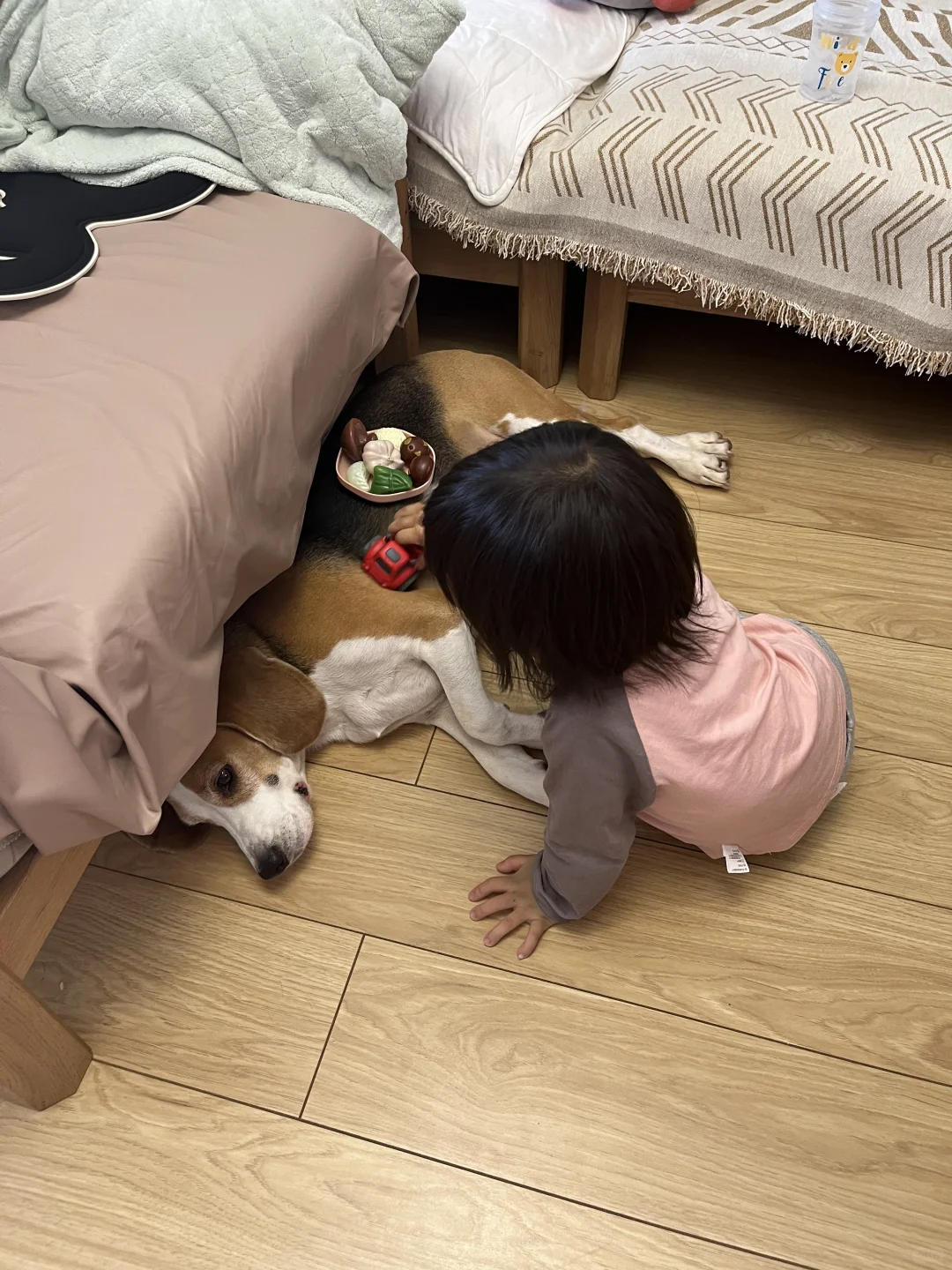周末日常之带娃