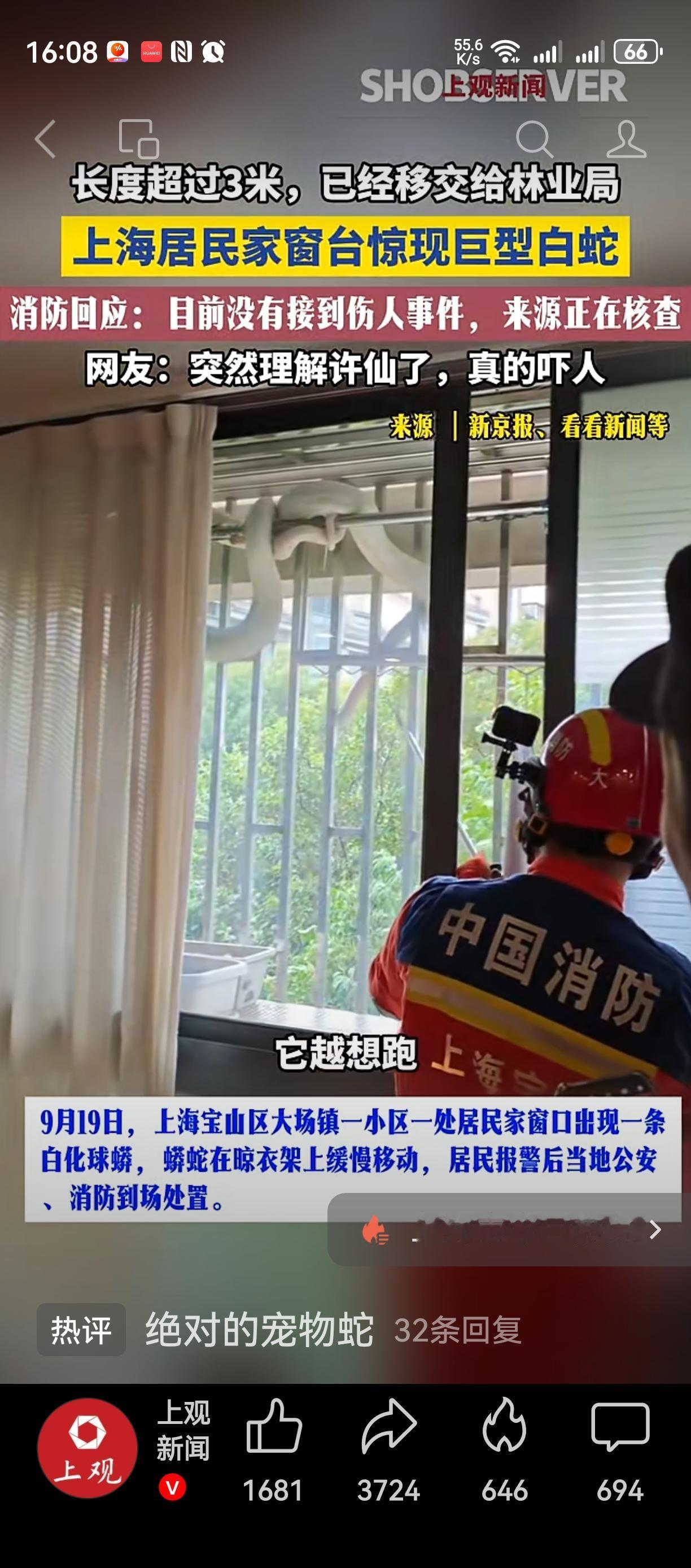白素贞来上海了？
原来真的有白蛇。。。
大千世界无奇不有，
要么是宠物蛇，
要么