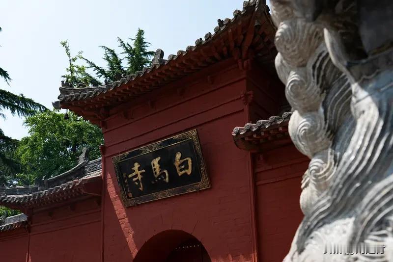 白马寺僧人顶着33℃气温收麦子晾晒 6月的洛阳，气温都到33℃了。白马寺的僧众们
