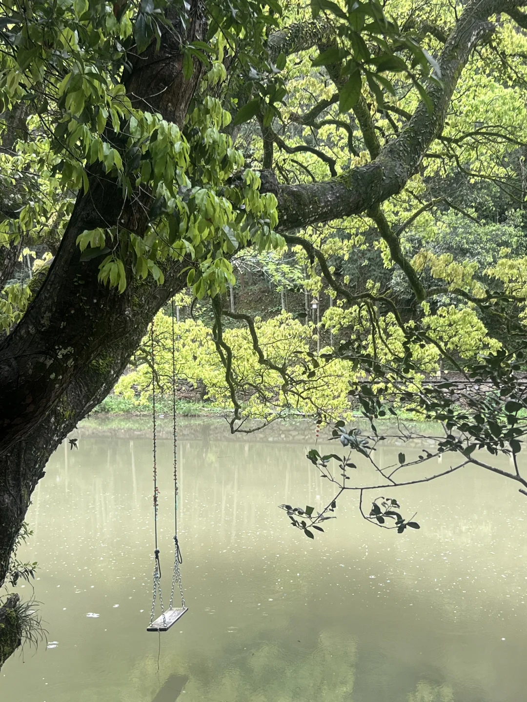 南昌周边1️⃣日游，我最爱的县城出现啦‼️