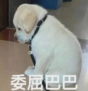 #Ai能成为人类的精神伴侣吗# 我觉得吧只要有需求，那就应该可以加上科技在发展，