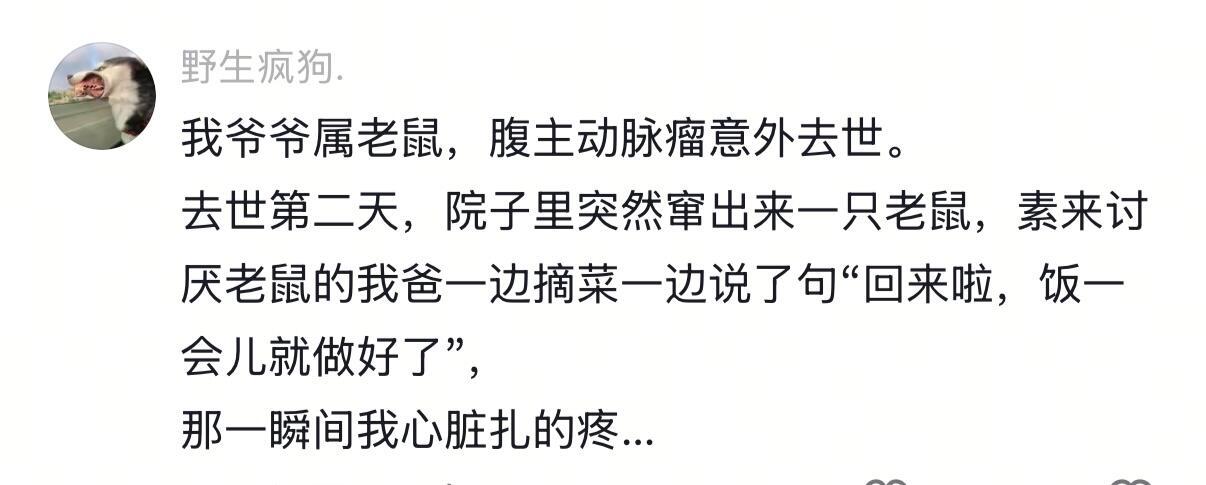 “我是坚定地唯物主义者 唯有你我希望有来生” ​​​