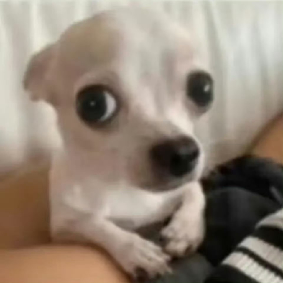 亲戚相聚，有婴儿，我多看一眼后，我妈be like：你羡慕吧？我说，我羡慕什么？