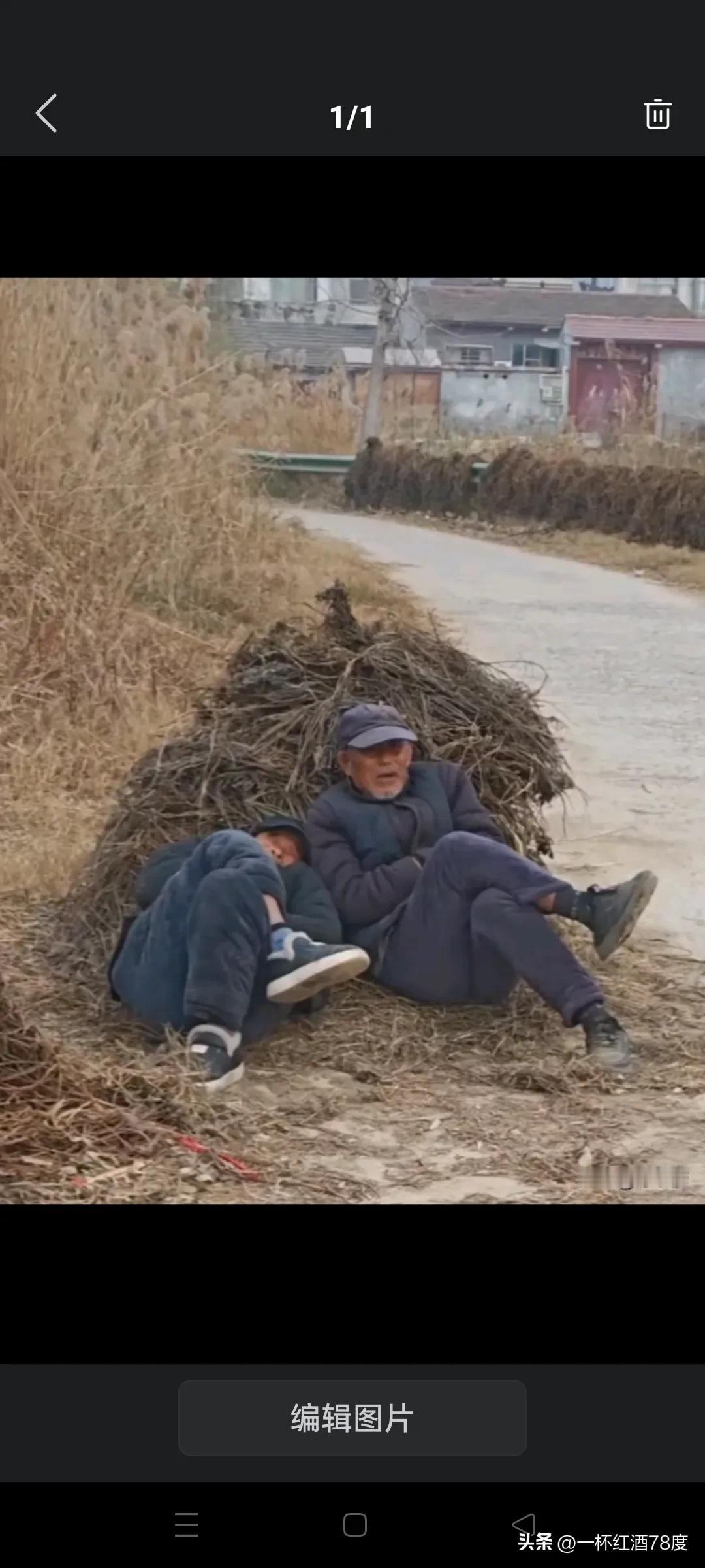 看到这画面，你会作何感想？或许十几年后，我们也会如此，寻个墙根，倚着柴垛，就这么