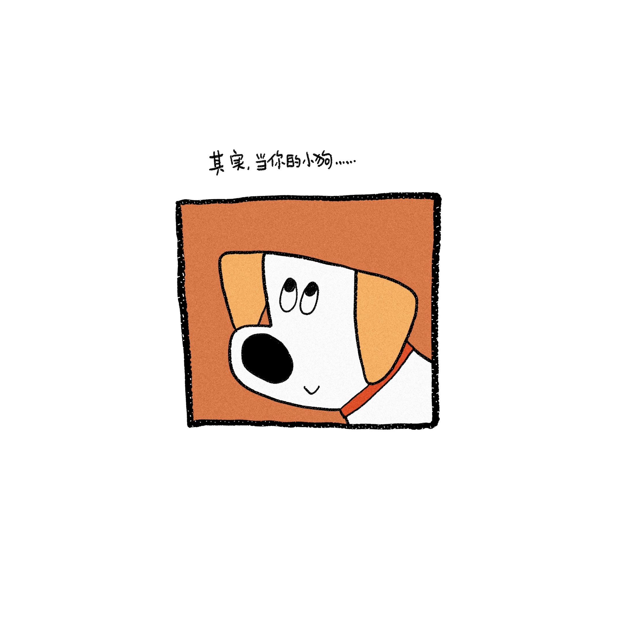 当小狗很久很久都没见到你的时候。