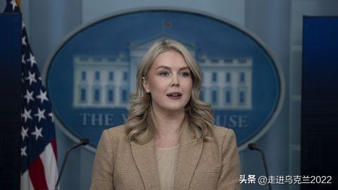 特朗普政府对俄伊潜在的军事协作视而不见

美国白宫新闻发言人利维特表示，即使俄罗