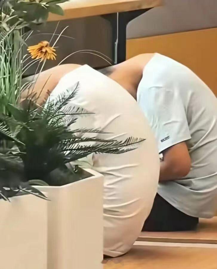 这一刻的你坐直了吗，抬头挺胸了吗 
