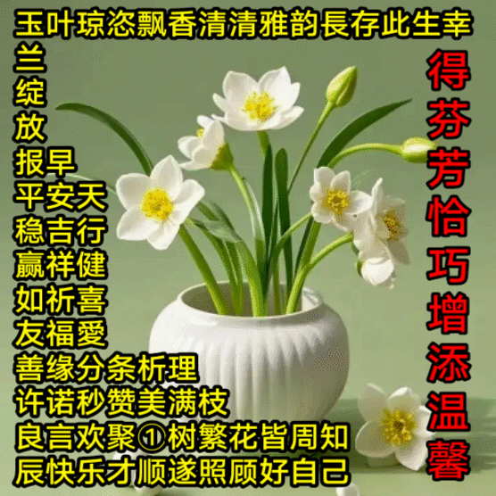 @豆包 赞同学无止境 
《韵長存此生幸得芬芳》
玉兰绽放报早安 
春日生活打卡季