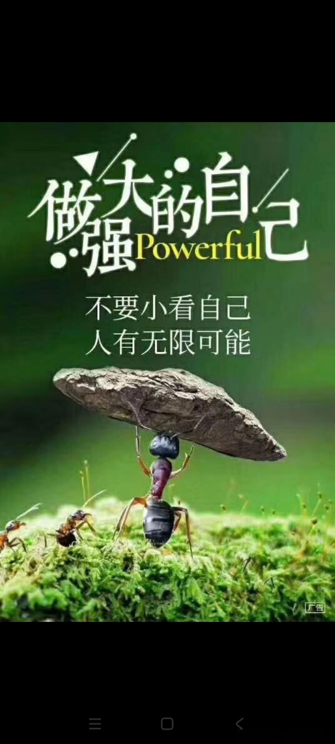 你的主线任务，是把自己养好，当你专注到极致，全世界都会为你让路。你越坚定，能量就