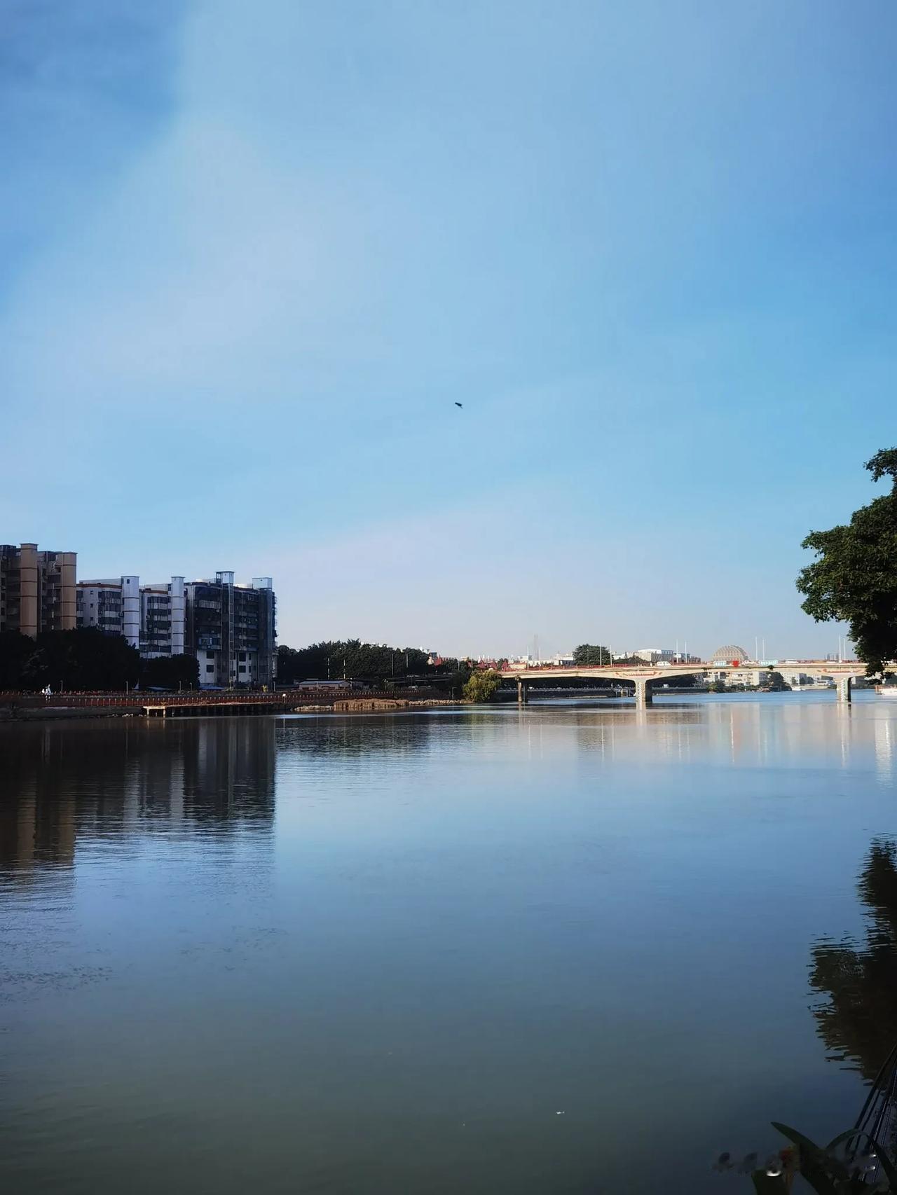 随手拍张照城市一角的风景，阳光明媚，江水静淌，江畔的绿道上晨练的人儿正摩拳擦掌，