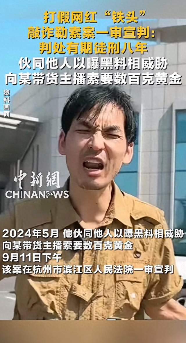 打假网红“铁头”获刑8年，流量终成枷锁，流量终成枷锁