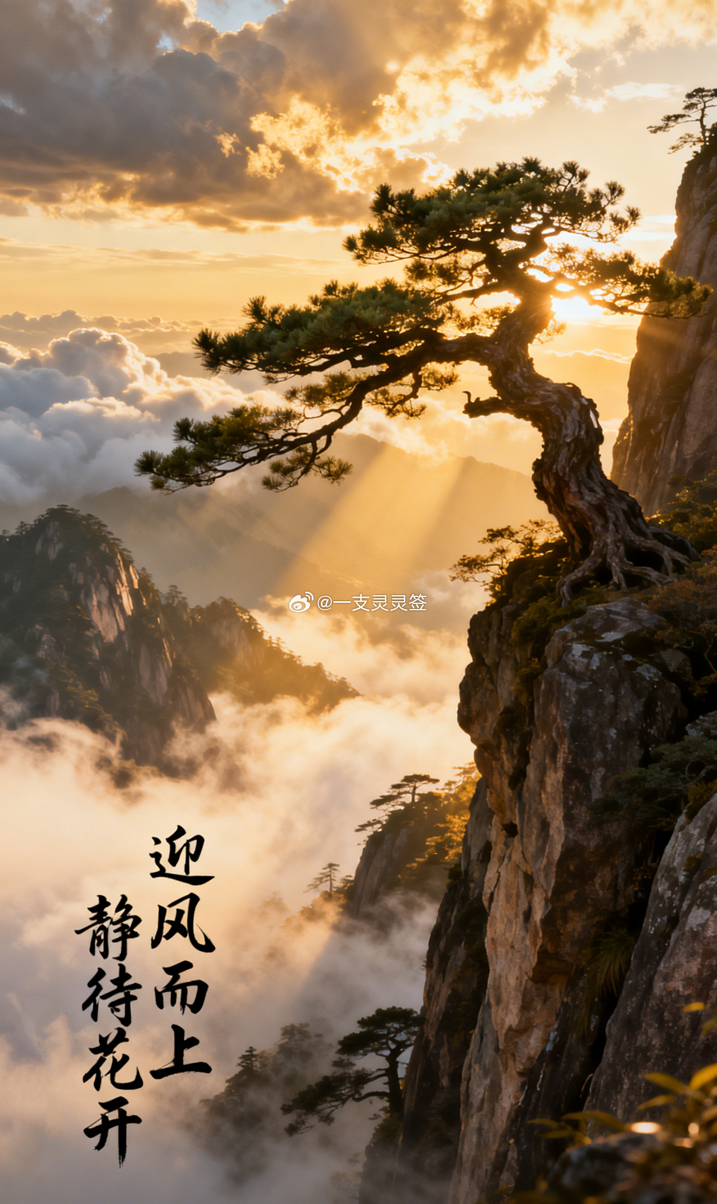 年轻时不太信命，总觉得那是给自己找的退路，仿佛做不成就推给缘分。后来经历渐渐丰盈