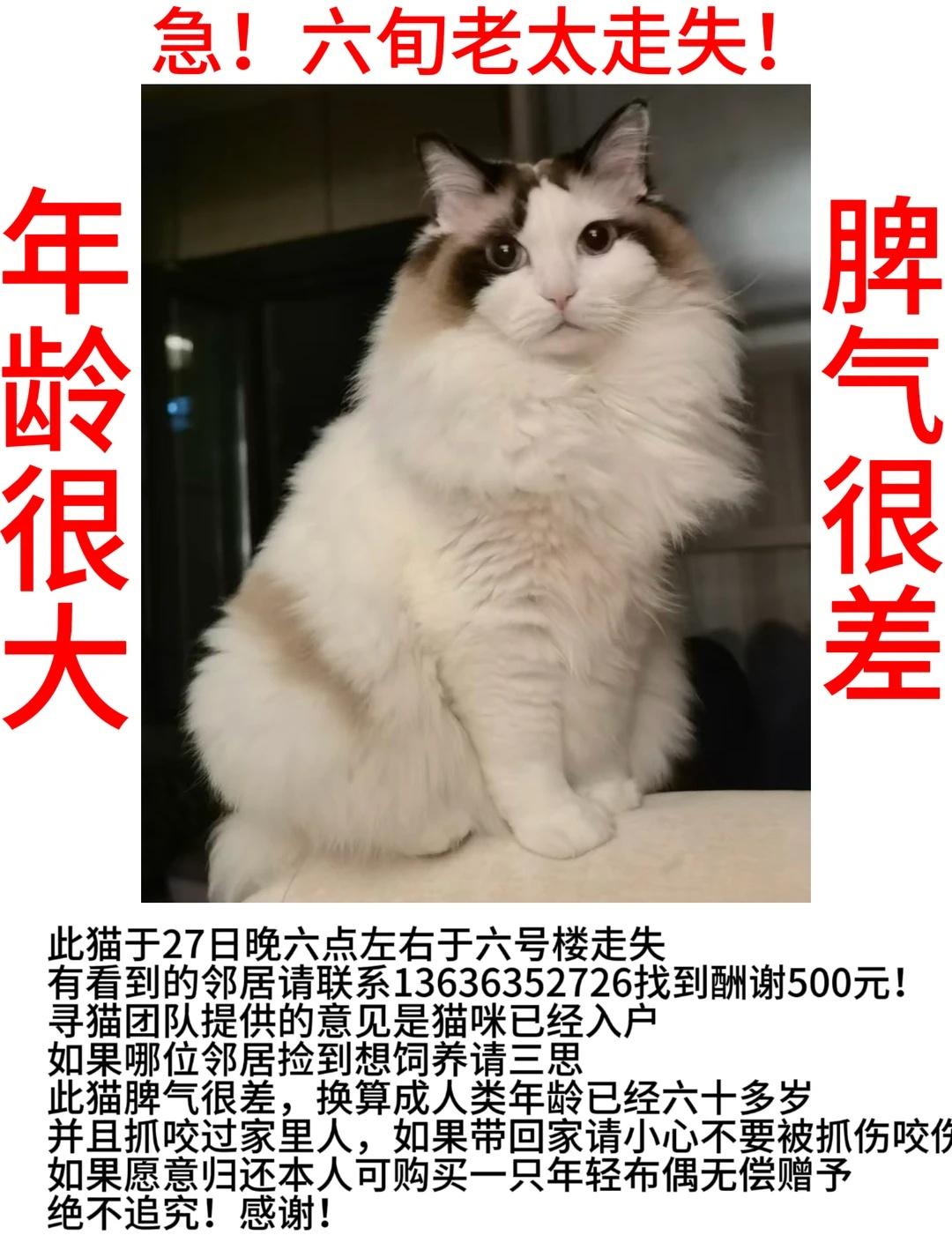 急！六旬老太走失！
昆山城南找猫
	
猫咪快回家 昆山城南 找猫 布偶猪