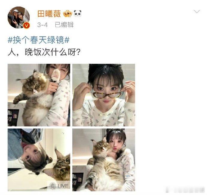 田曦薇猫猫客服在线回复 还有谁没看田曦薇用猫咪口吻回复粉丝评论？又奶又嗲，“猫猫