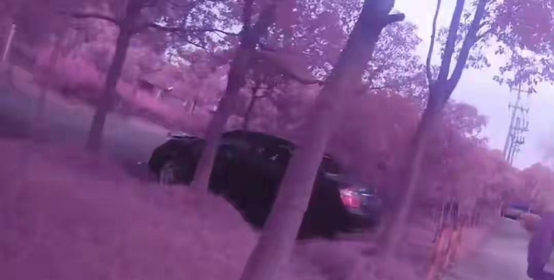 上海，一男子为了省停车费，把车开到无人看管的河边草坪上，以为万无一失，一周后回来
