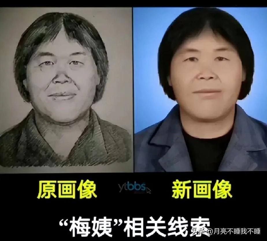 梅姨落网背后的真相！警方六年前的“无证据”表态，竟是一招欲擒故纵

梅姨被抓背后